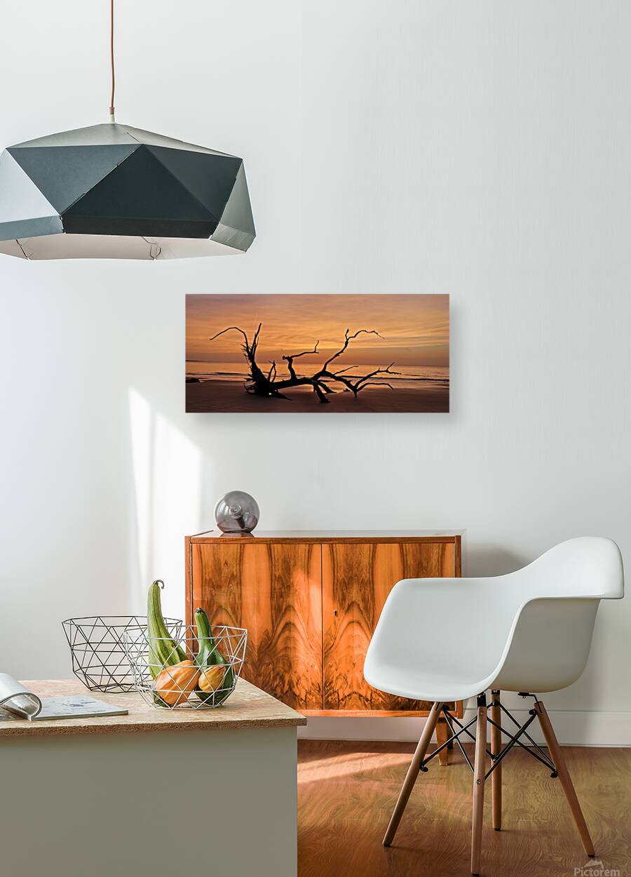 driftwood10 Reproduction