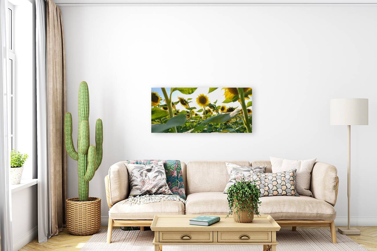 sunflower21 Reproduction
