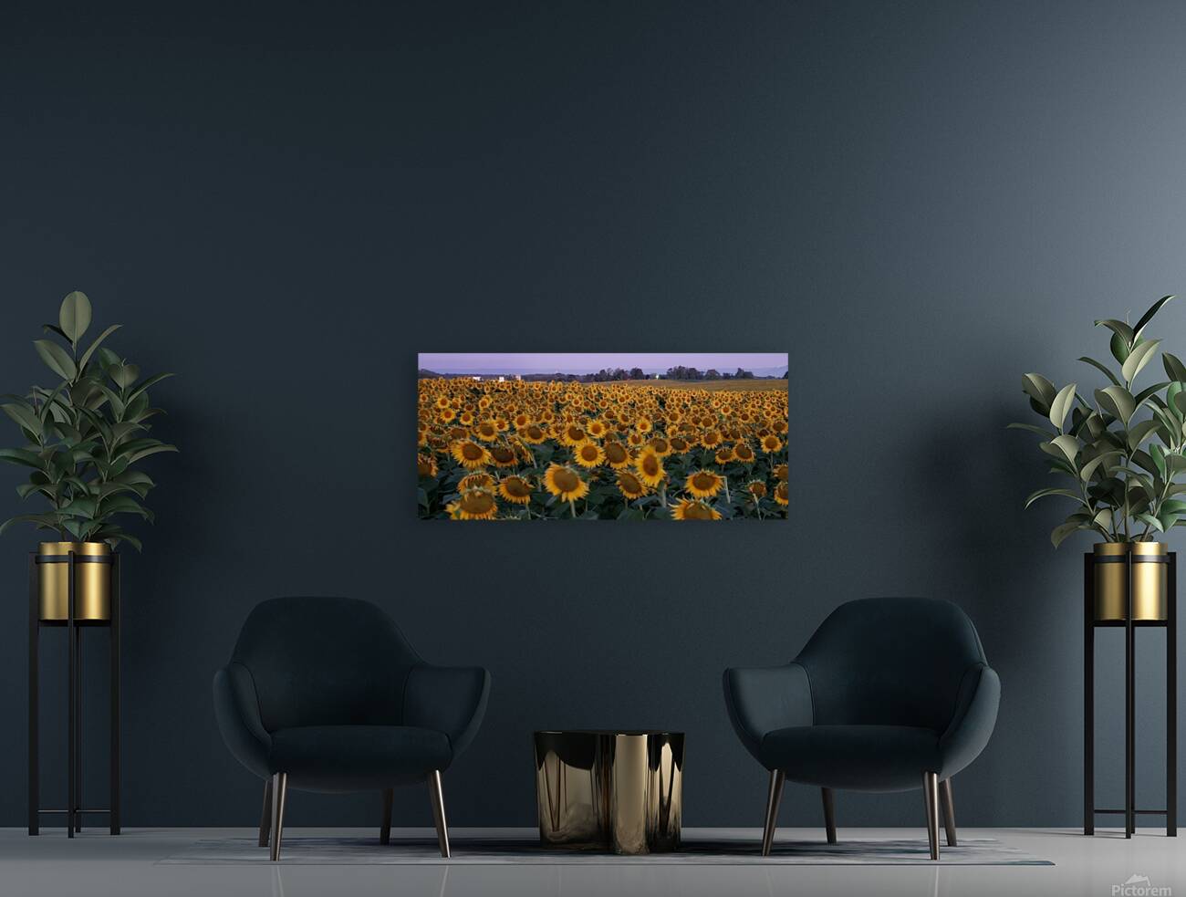 sunflower18 Reproduction
