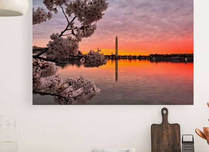 Cherryblossoms66 Reproduction