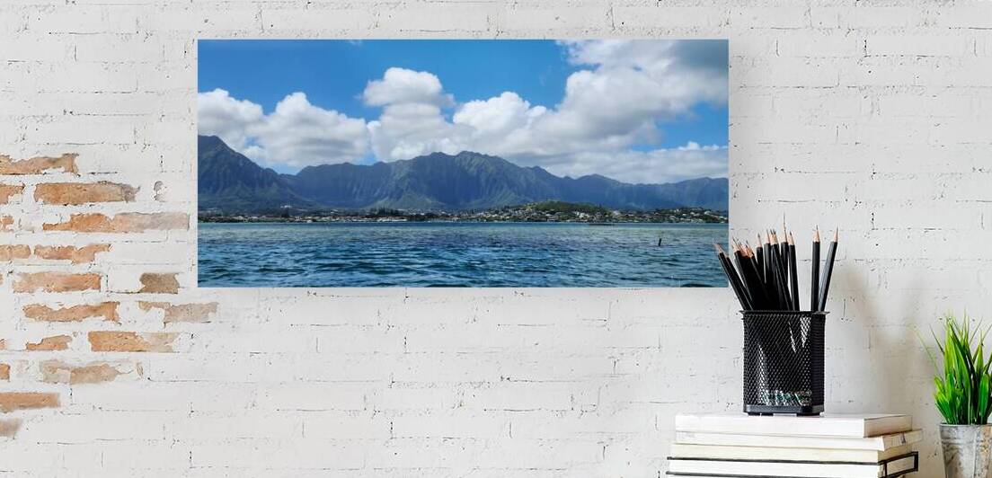 hawaii16 by Jackie Kido