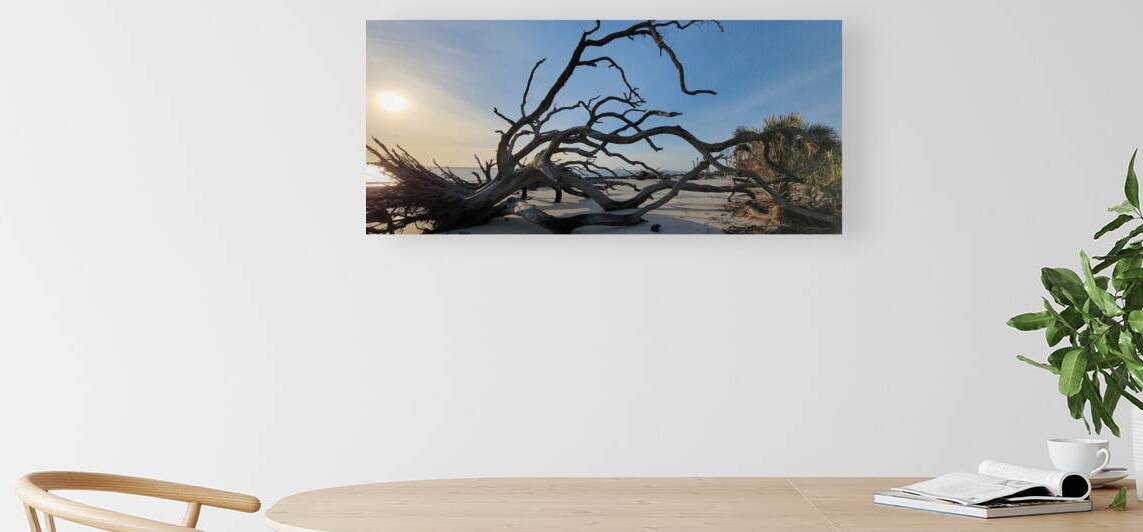 driftwoodbeach6 Reproduction