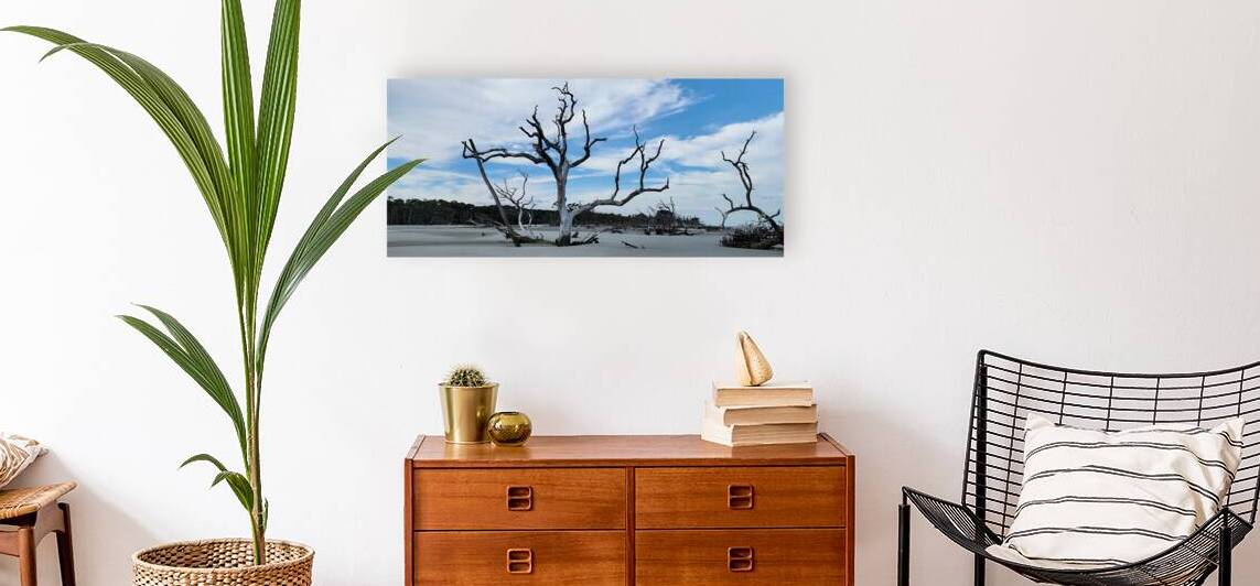 driftwood21 Reproduction