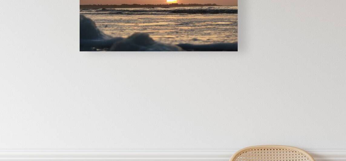sunrise Reproduction