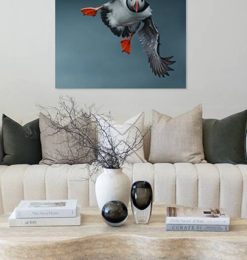 1000064099 Reproduction