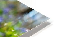 bluebell HD Metal print