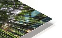 bamboo HD Metal print