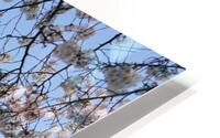 dc21 HD Metal print
