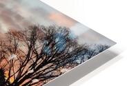 dc23 HD Metal print