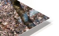 dc4 HD Metal print