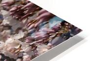 dc5 HD Metal print