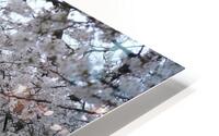 dc12 HD Metal print