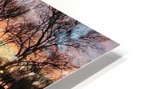dc20 HD Metal print