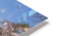 dc7 HD Metal print