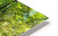 florida HD Metal print