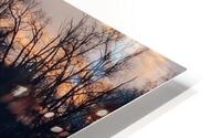washdc HD Metal print