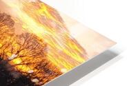 washingtondc HD Metal print