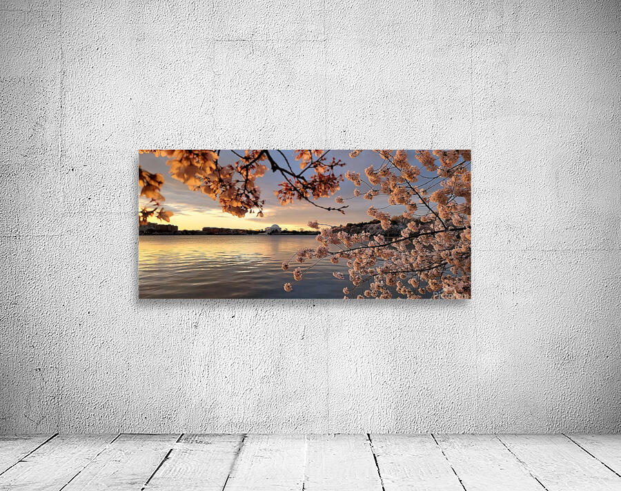 cherryblossom20 Wall Preview