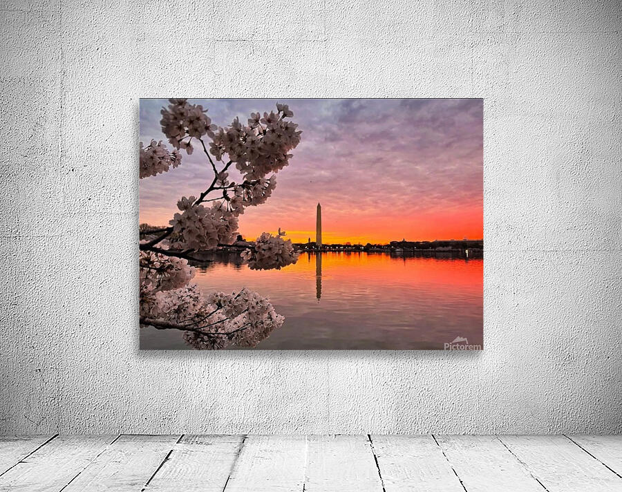 Cherryblossoms66 Wall Preview