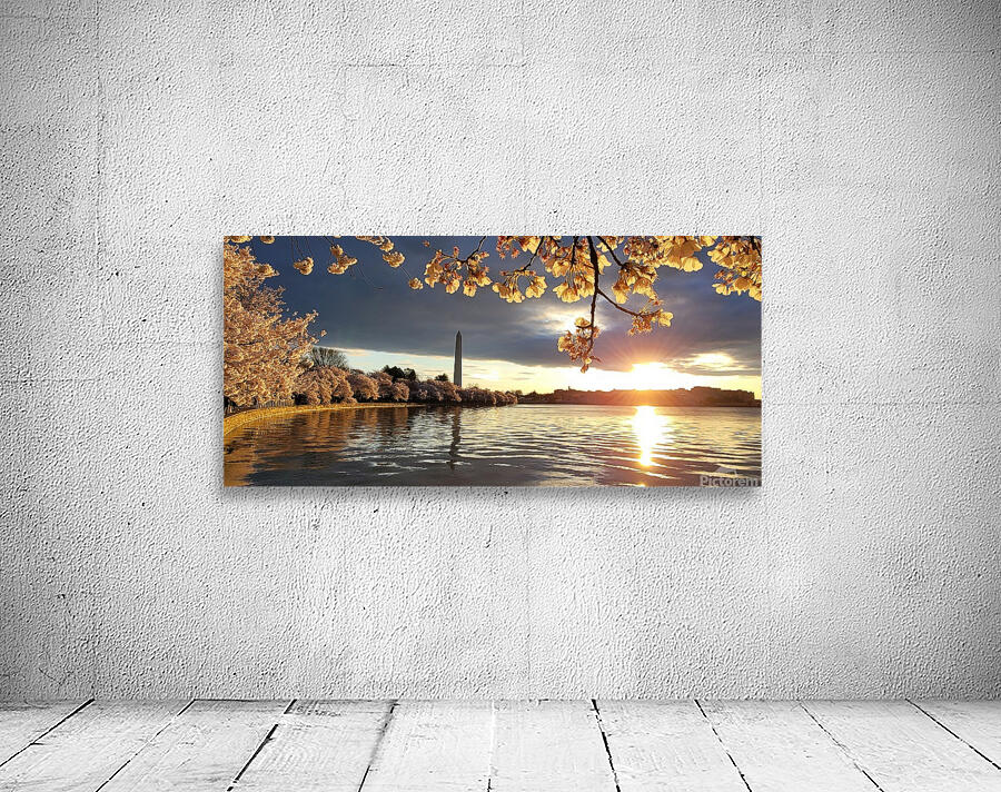 cherryblossoms20 Wall Preview