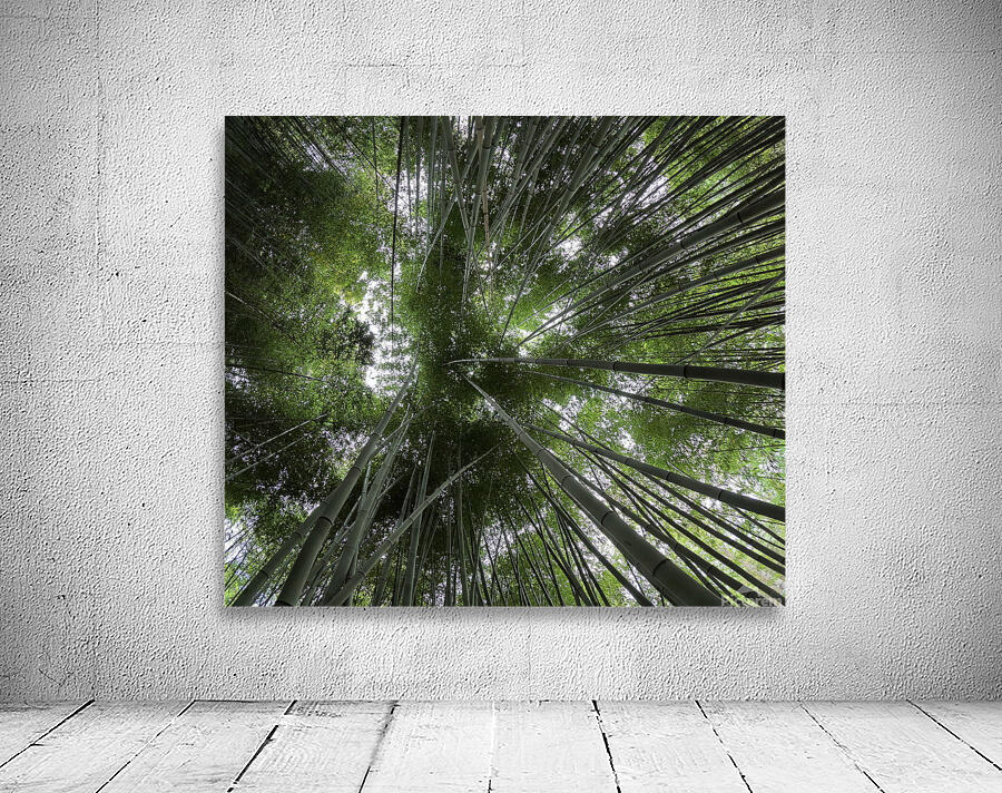 bamboo Wall Preview