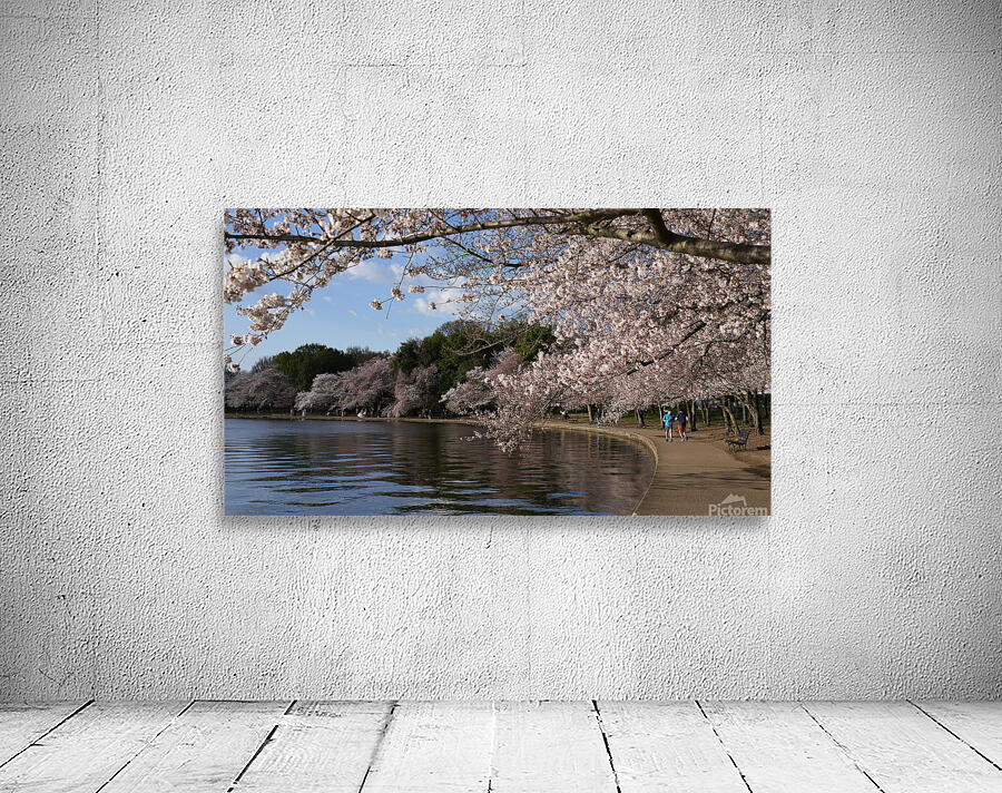 dc4 Wall Preview