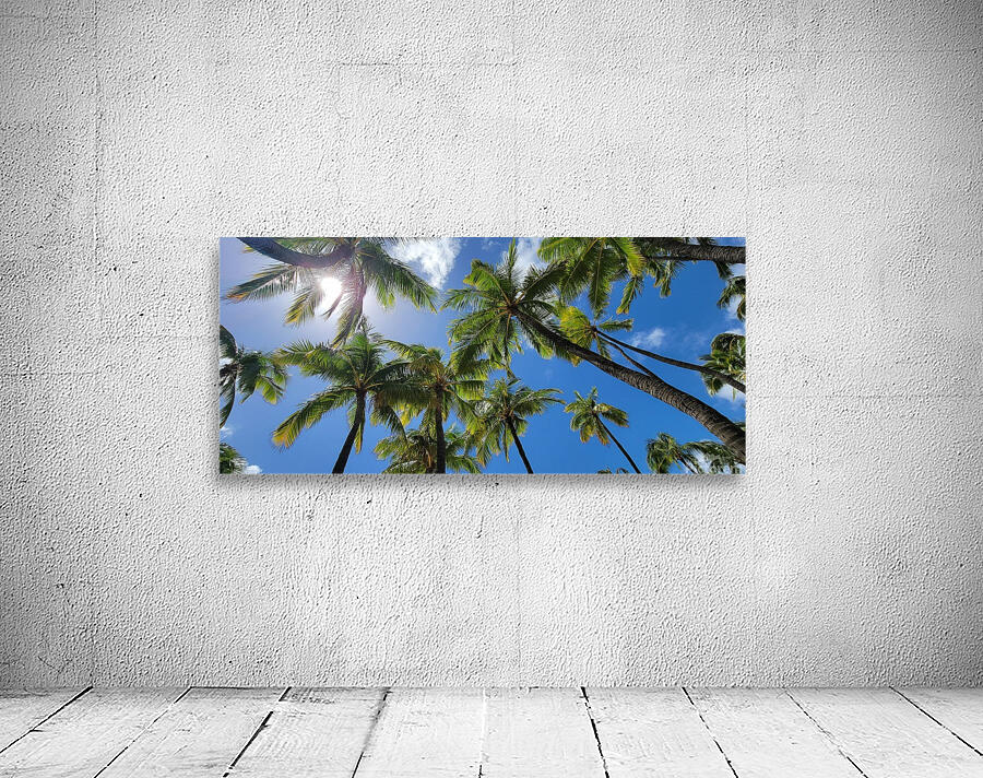 hawaii Wall Preview
