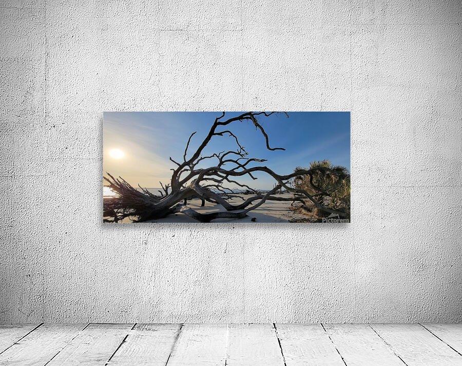 driftwoodbeach6 Wall Preview