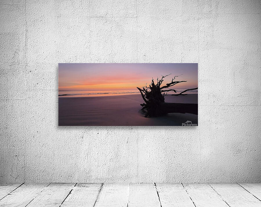 driftwood4 Wall Preview