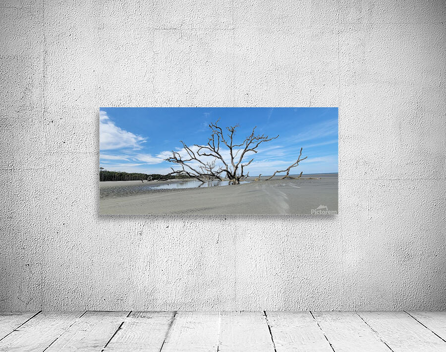 driftwood20 Wall Preview