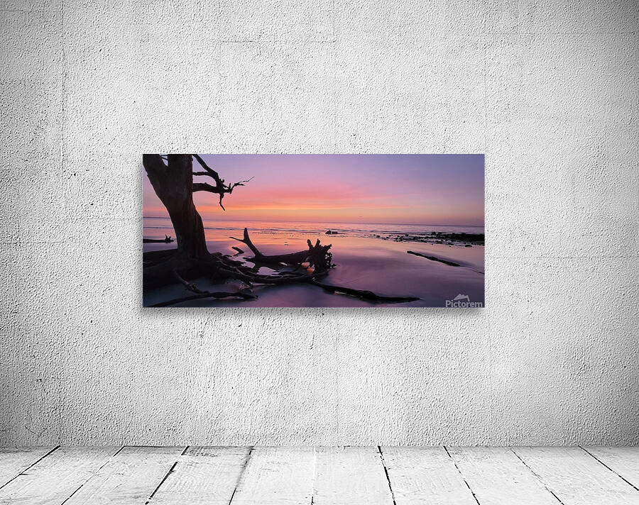 driftwoodbeach2 Wall Preview