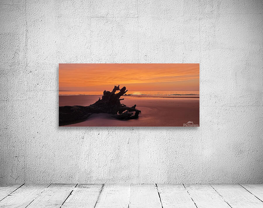 driftwoodbeach5 Wall Preview