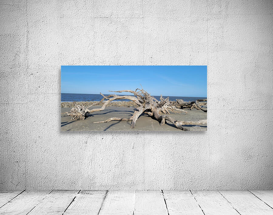 driftwoodbeach Wall Preview