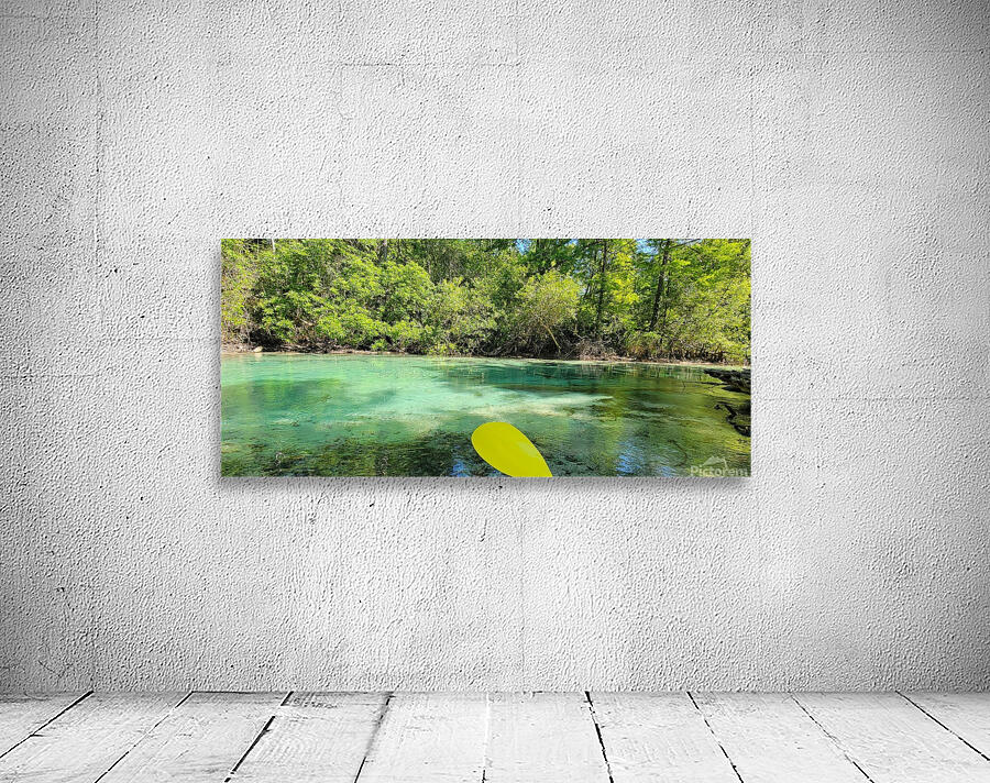 florida Wall Preview
