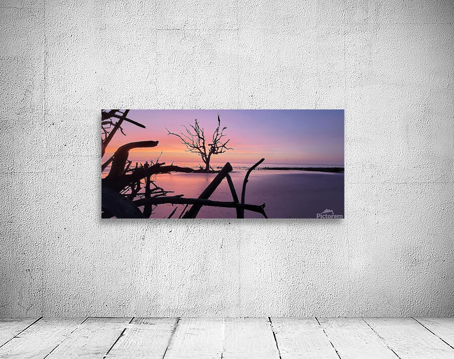 driftwood8 Wall Preview