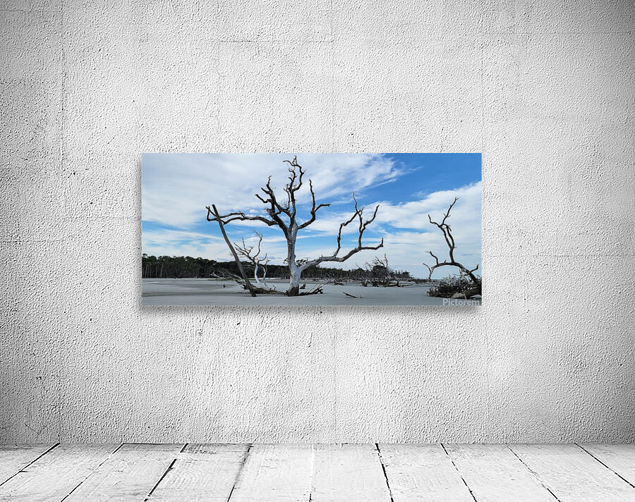 driftwood21 Wall Preview