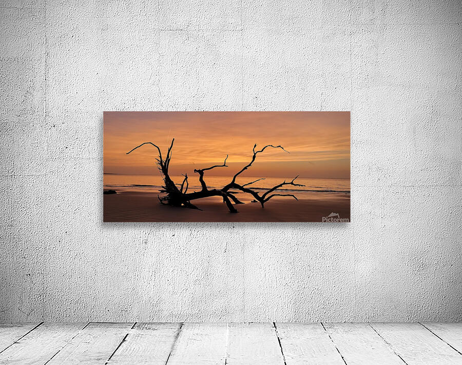 driftwood10 Wall Preview