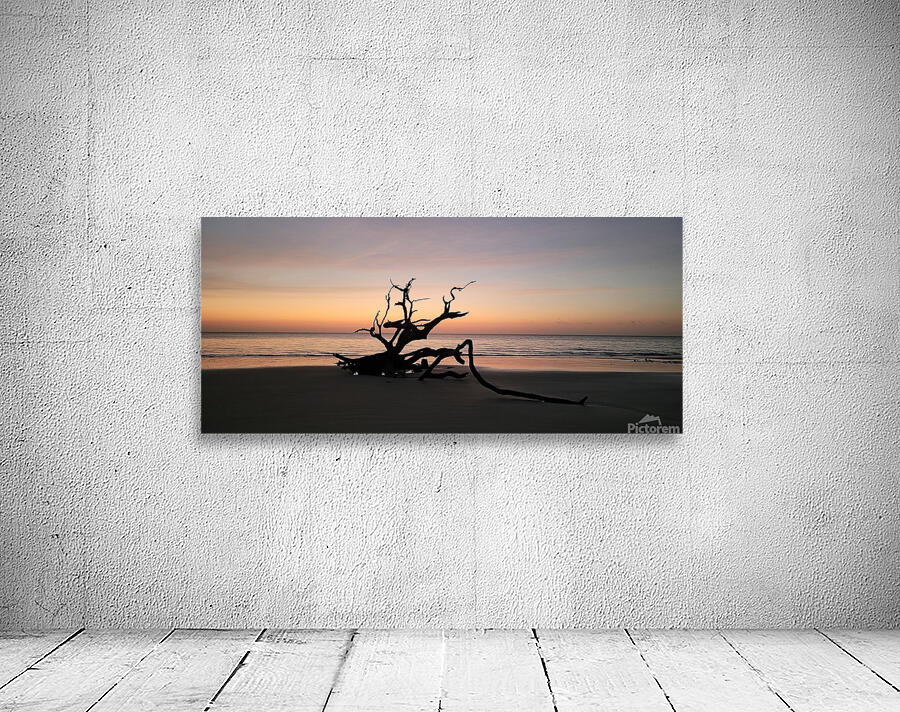 driftwood2 Wall Preview