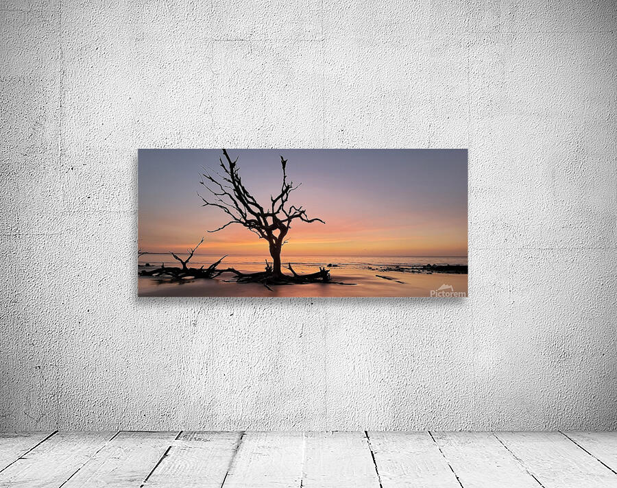 driftwood6 Wall Preview