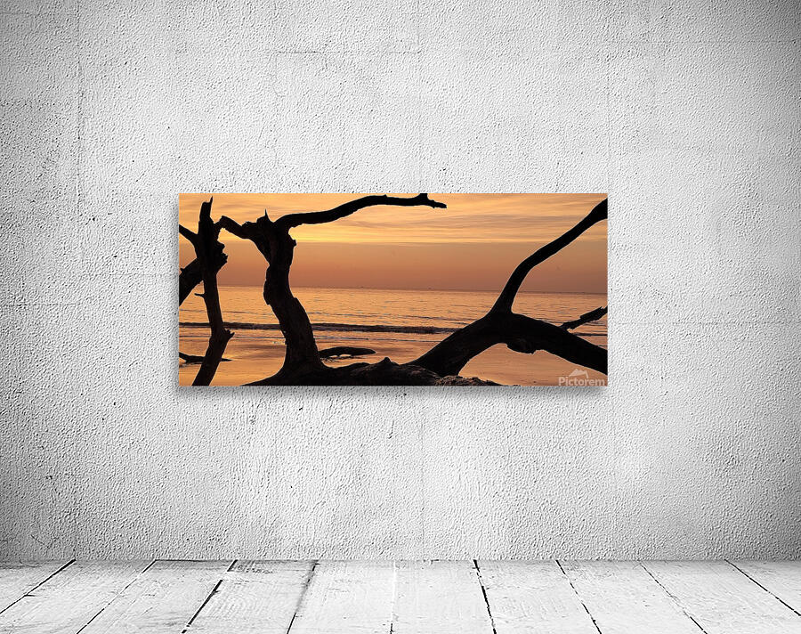driftwood11 Wall Preview