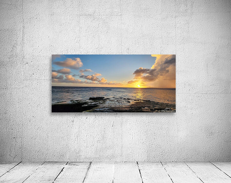 hawaii20 Wall Preview