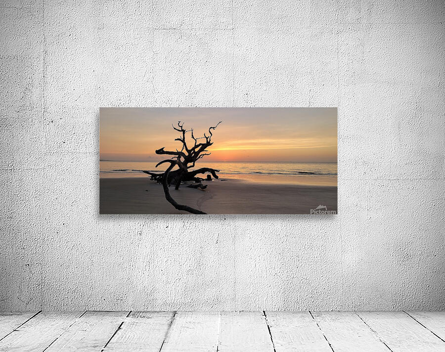 driftwood12 Wall Preview