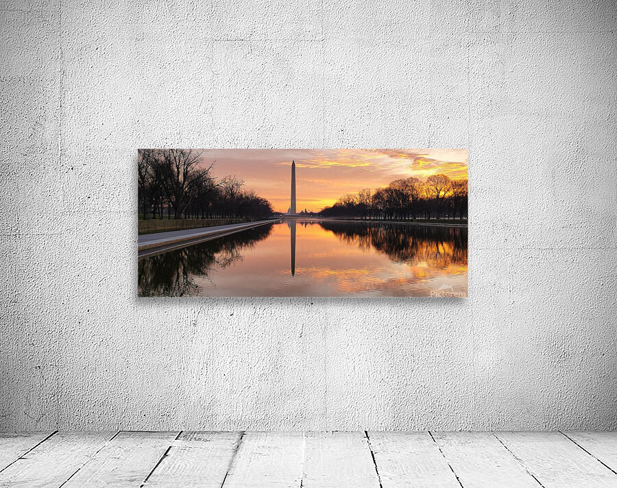 washingtondc Wall Preview