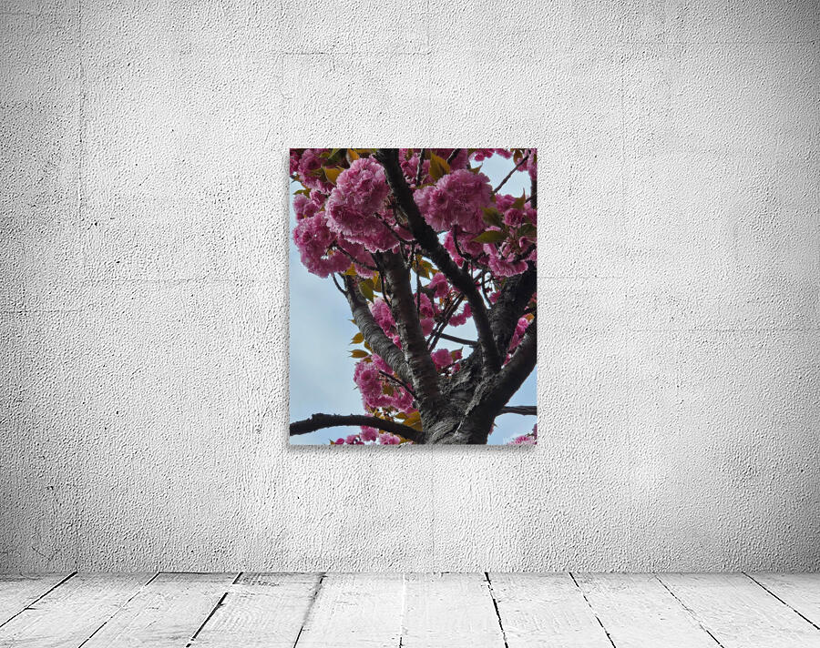 squirrelblossoms6 Wall Preview