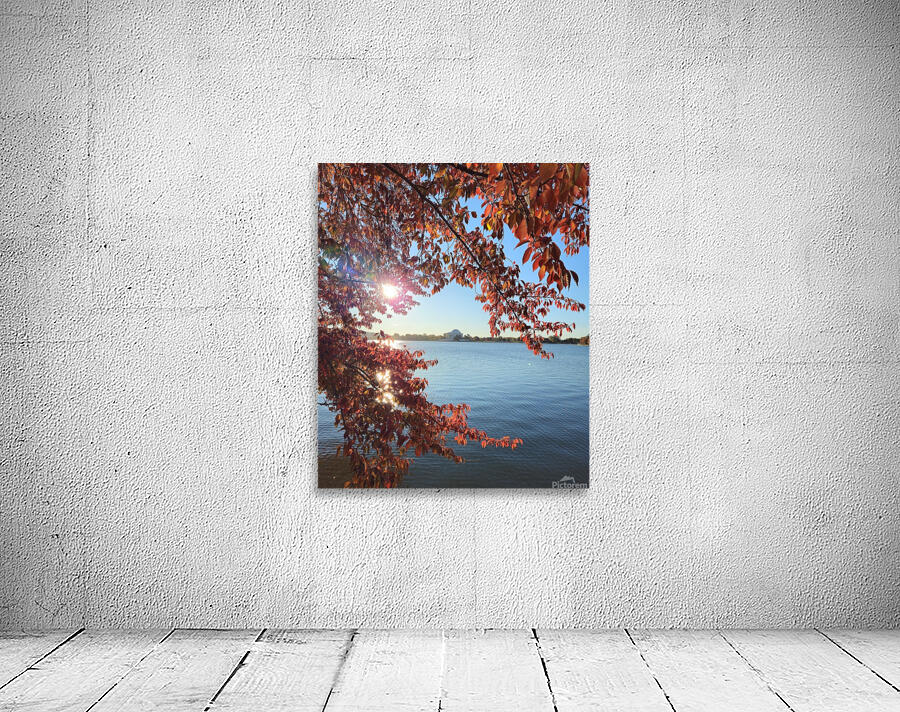 Fall on the Mall 9 Wall Preview