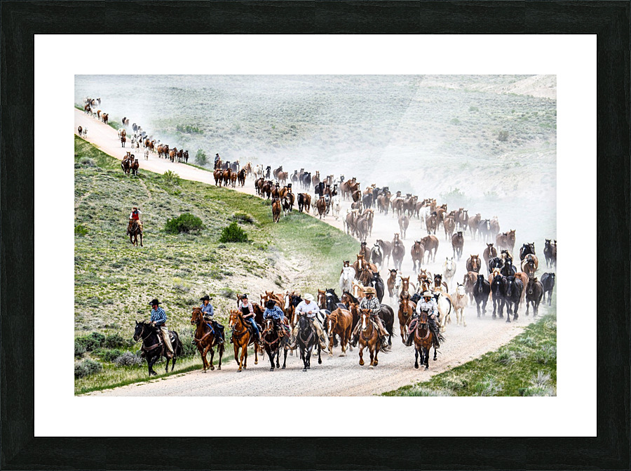 Leading the Herd Picture Frame print