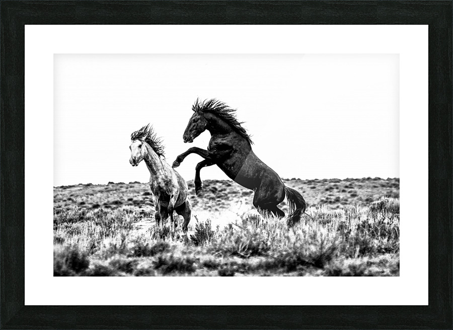 The Challenge Picture Frame print