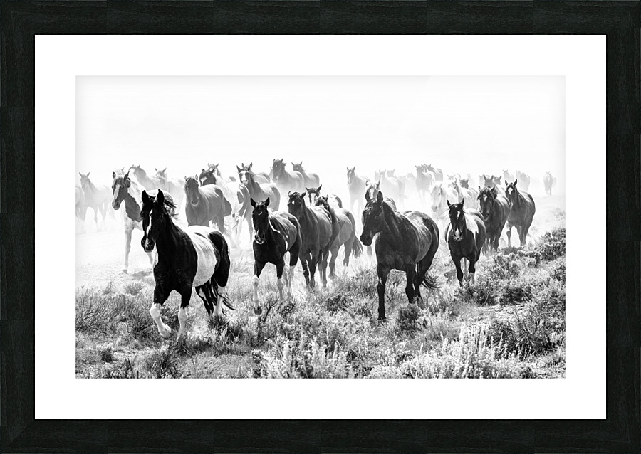 Stampede Picture Frame print