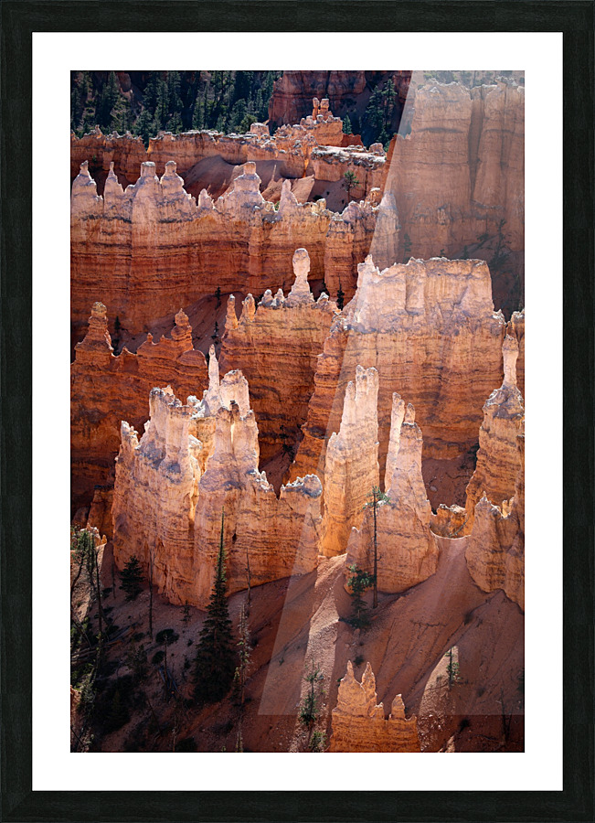 Hoodoos Bryce Canyon Picture Frame print