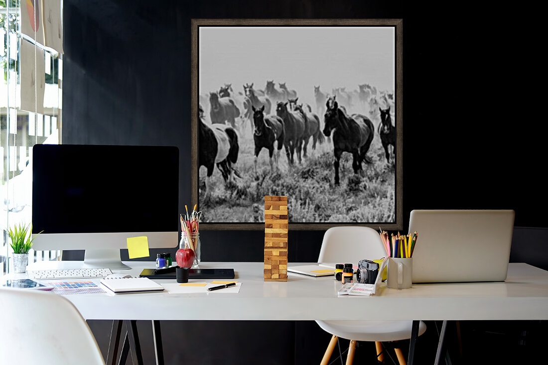 Stampede Reproduction